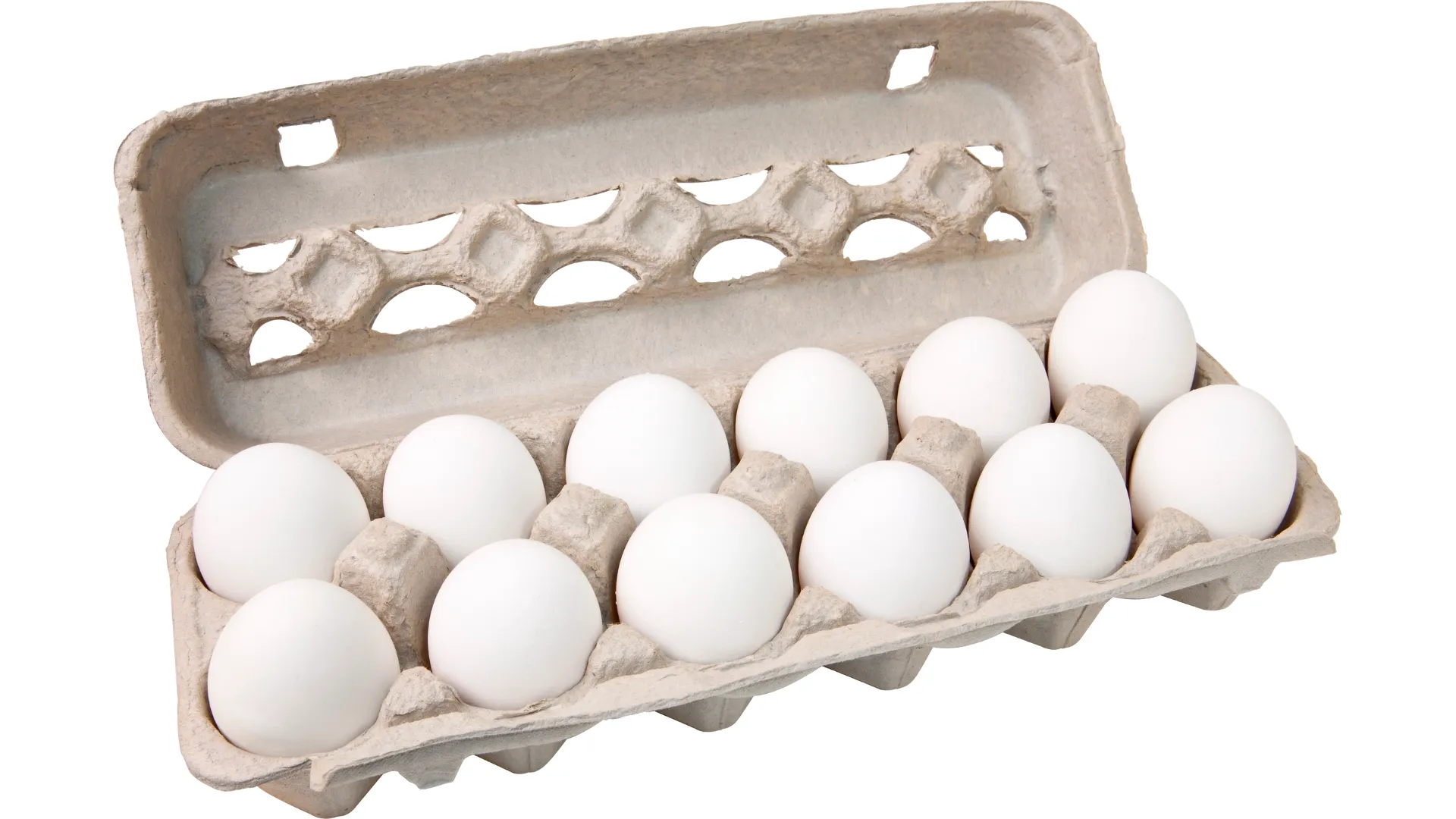 Kabbuk Taze Yumurta Üretimi - Doğal Yumurta Üretim Süreci