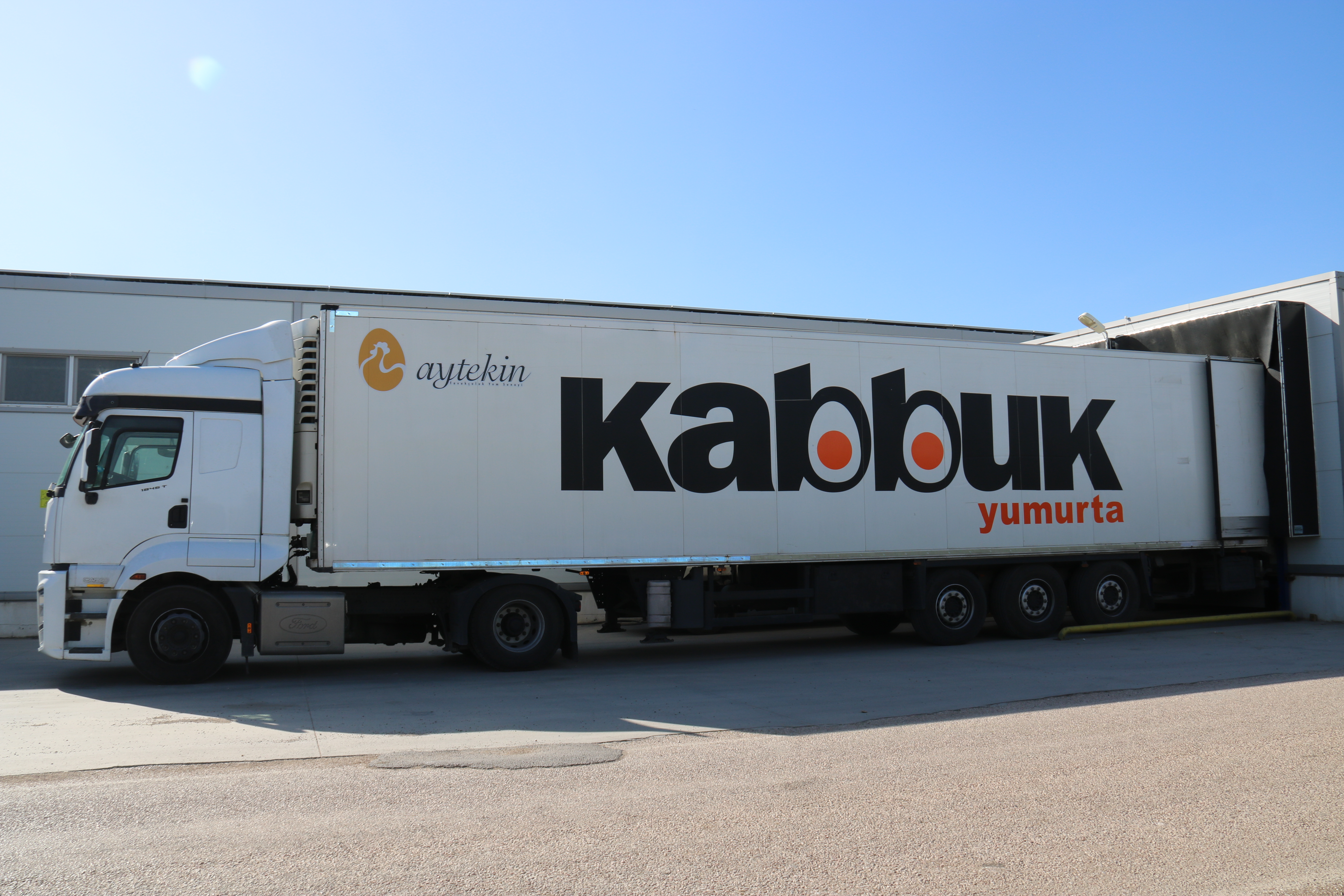 Kabbuk Yumurta Teslimat Aracı - Taze Yumurta Dağıtımı